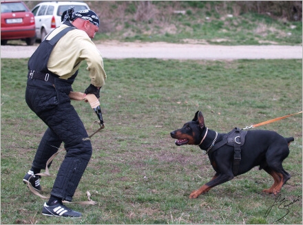 Training in Prague - 2. 4. 2008